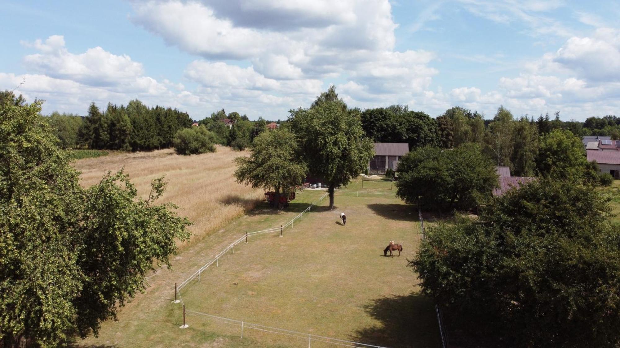 Agroturystyka Kraina Jezior Ludwin ภายนอก รูปภาพ