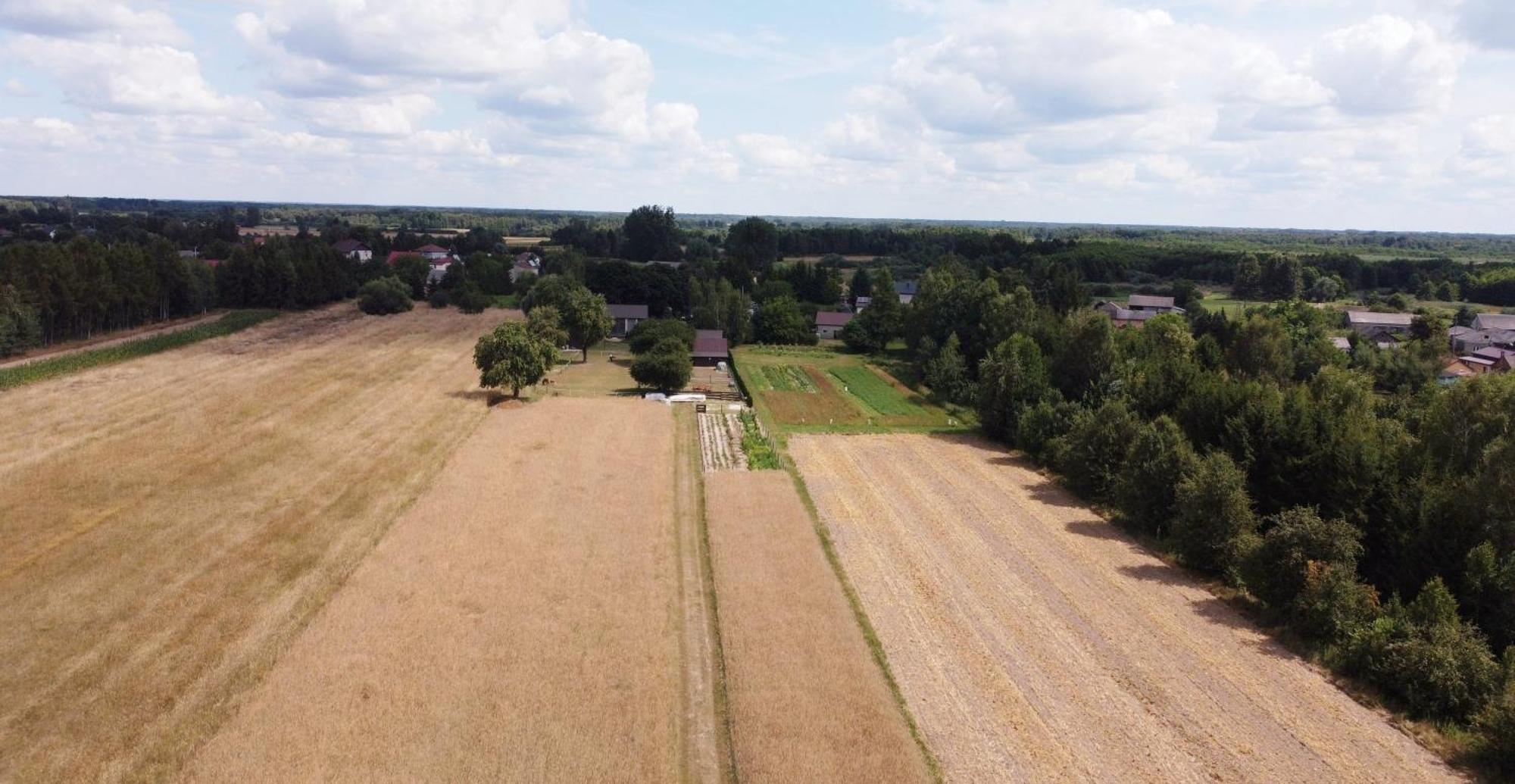 Agroturystyka Kraina Jezior Ludwin ภายนอก รูปภาพ