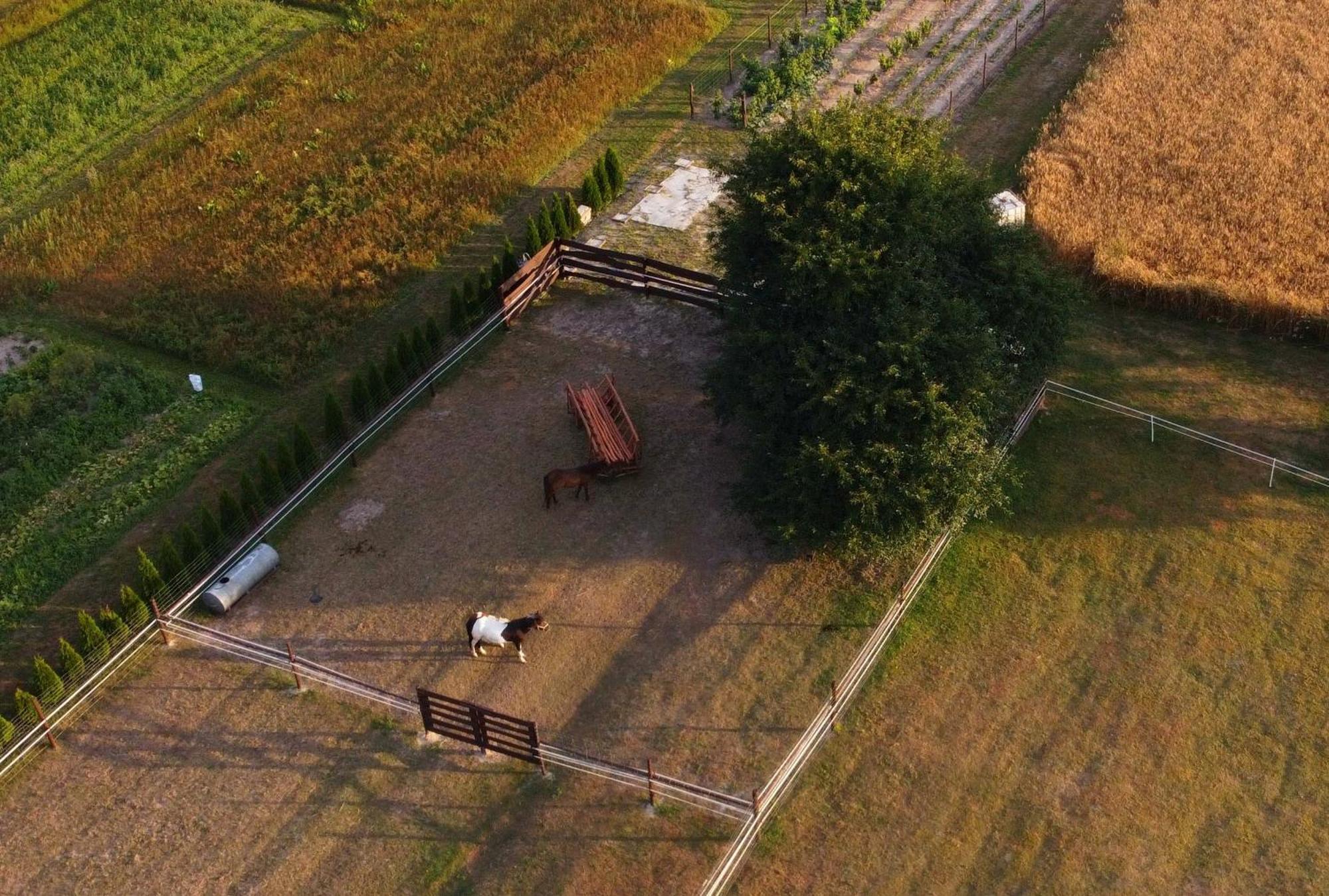Agroturystyka Kraina Jezior Ludwin ภายนอก รูปภาพ